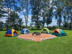 Camping Estándar